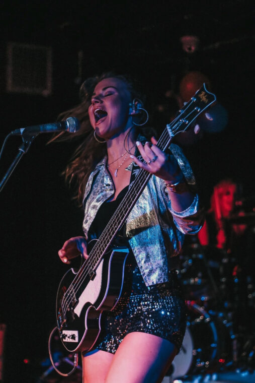 Violin Bass - Hofner