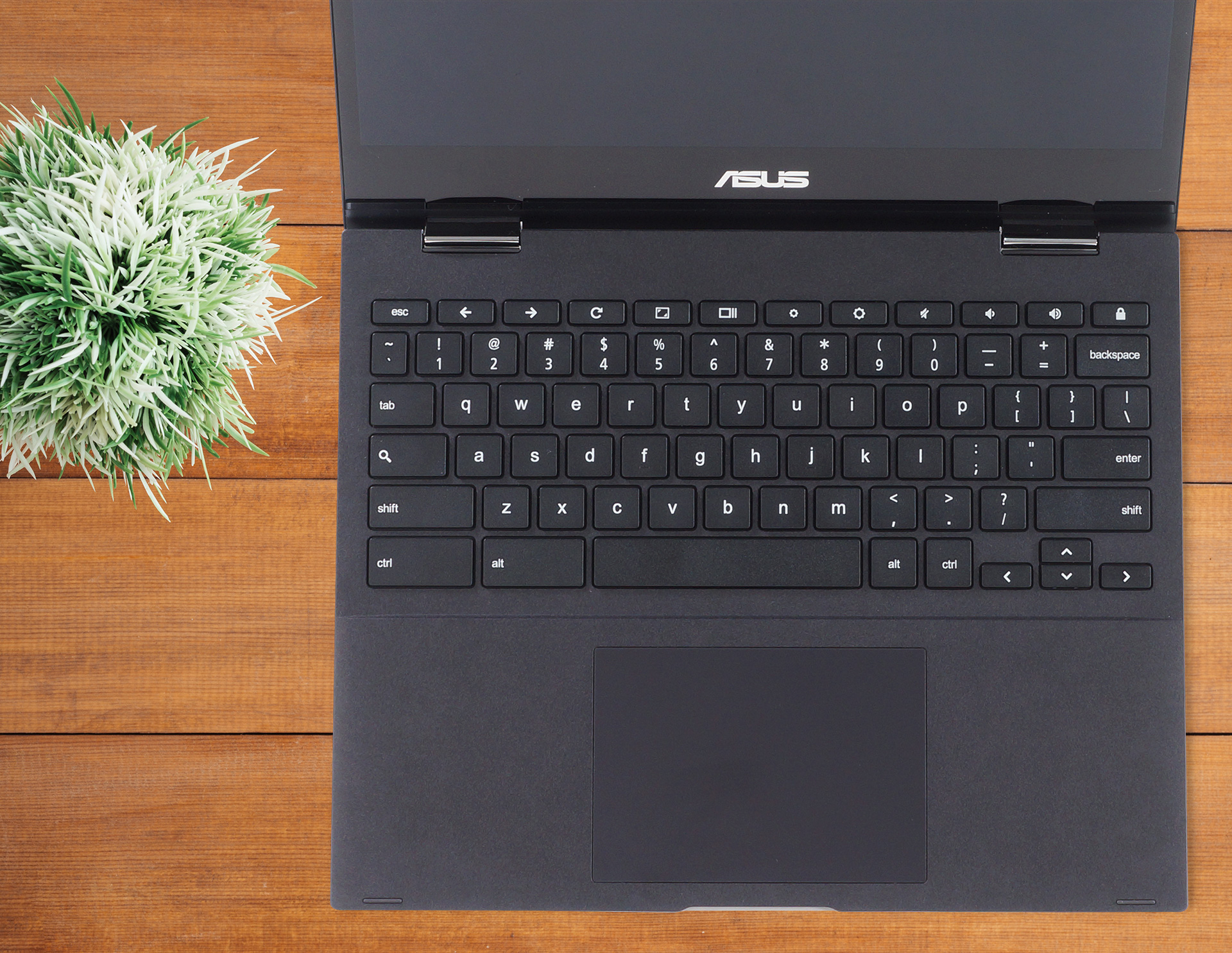 ASUS Chromebook Flip CM3 (CM3200) review - IPS display and a super