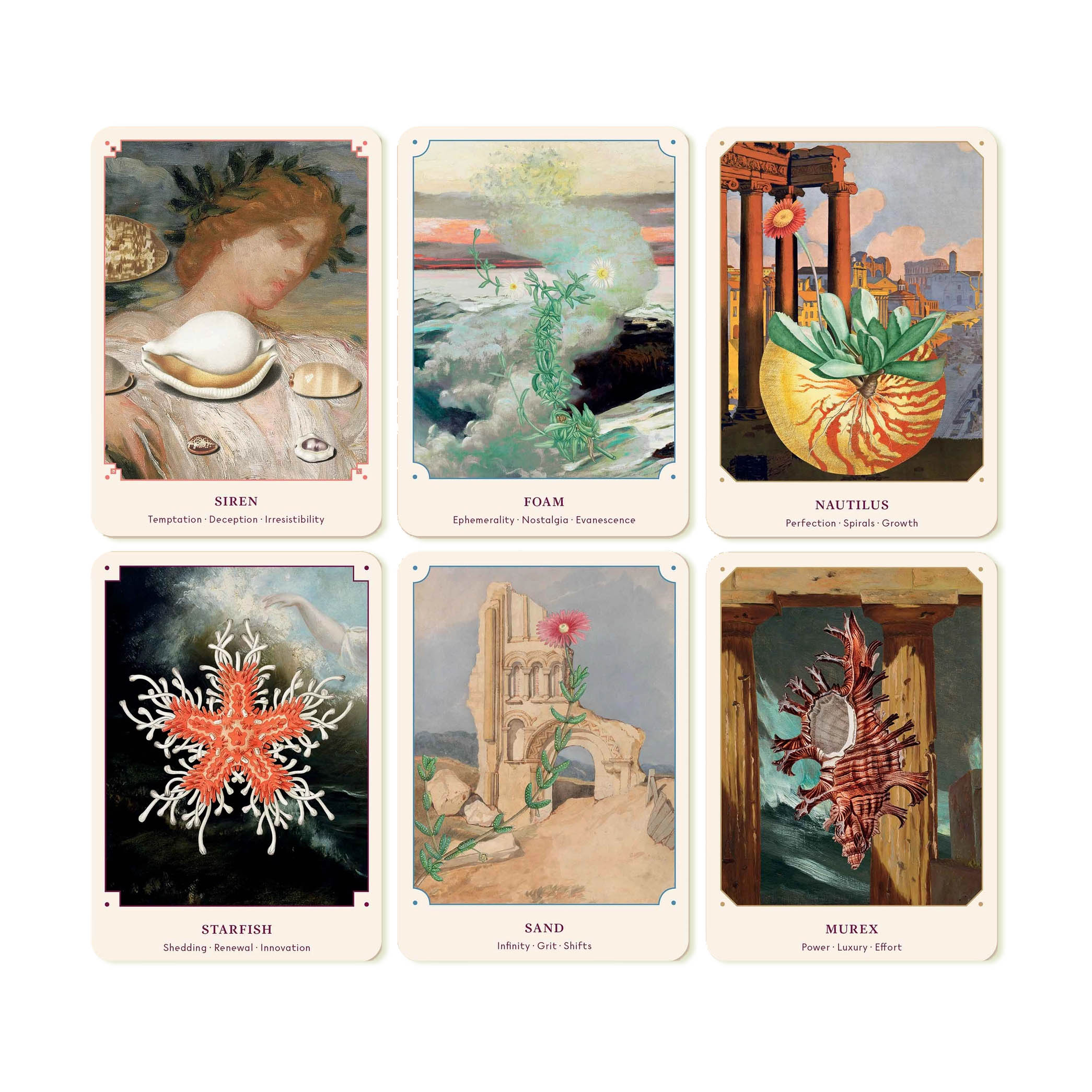 Seashell Oracle – La Panthère Studio