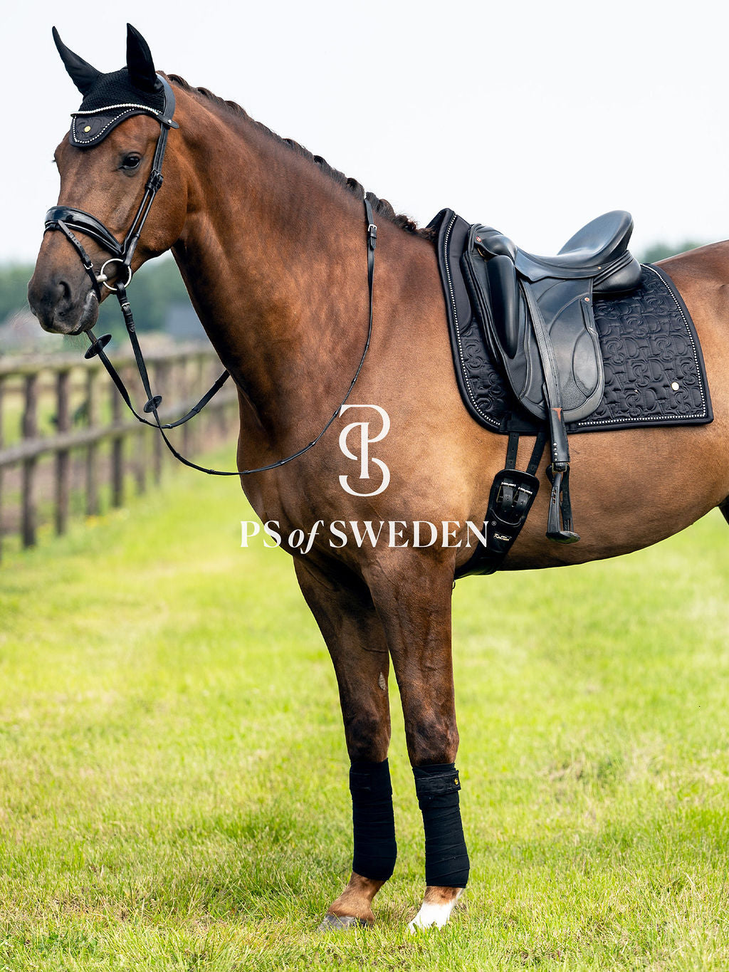 ゼッケン – 乗馬用品店レクシア