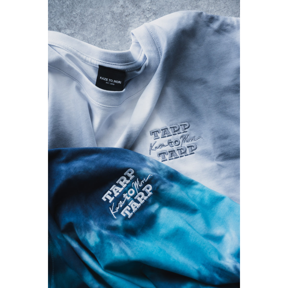 TARPtoTARP – ページ 2 – LOG