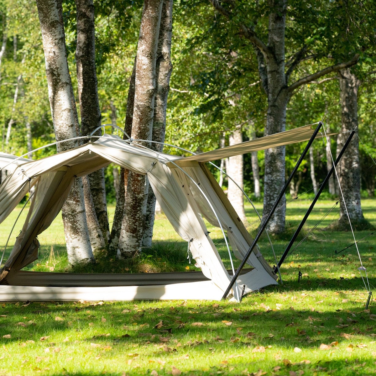 WOODEN HOUSE / Ivory – LOG