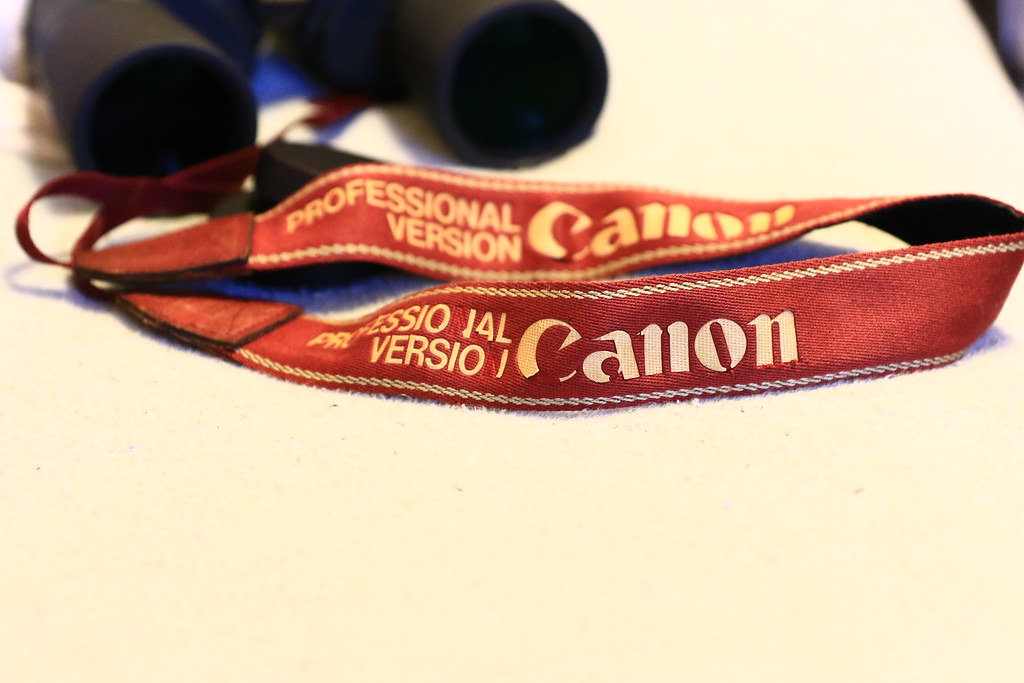 キヤノン プロストラップ（二本目） - デュークミヤモトの日記