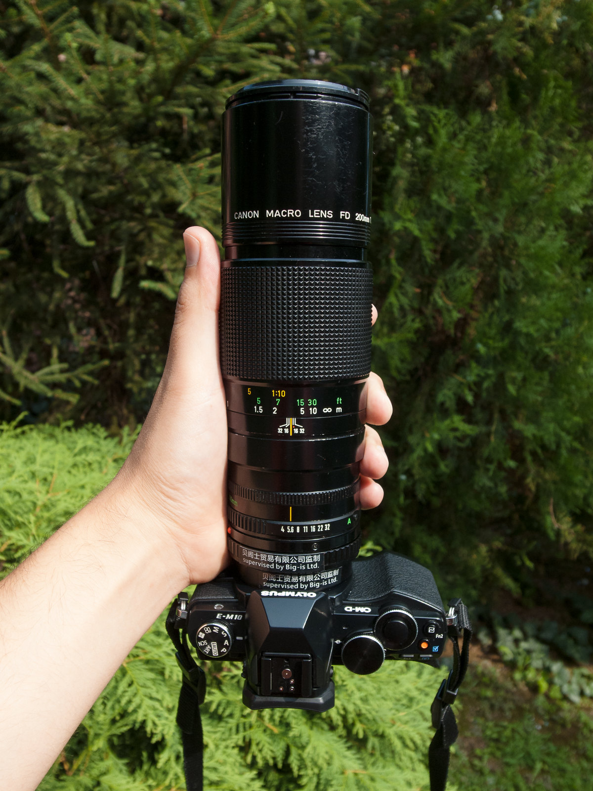 Canon FD 200mm F4 Macro – the newest addition to my arsenal – Big