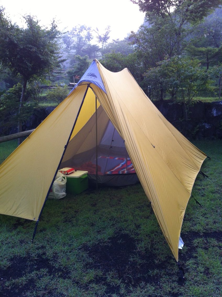 ゴーライト シャングリラ6とネスト5の組み合わせ : もっちーの家内安全