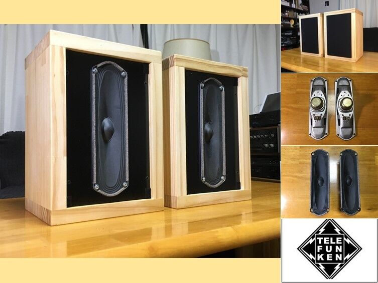 Telefunken ビンテージアルニコ 超(長)楕円スピーカー システム ペア