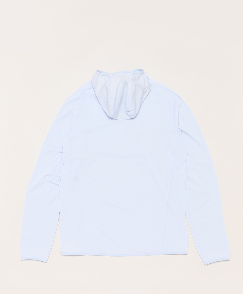 Delta Pullover Hoody Men's(L(MEN) Daybreak/デイブレイク): ARC'TERYX