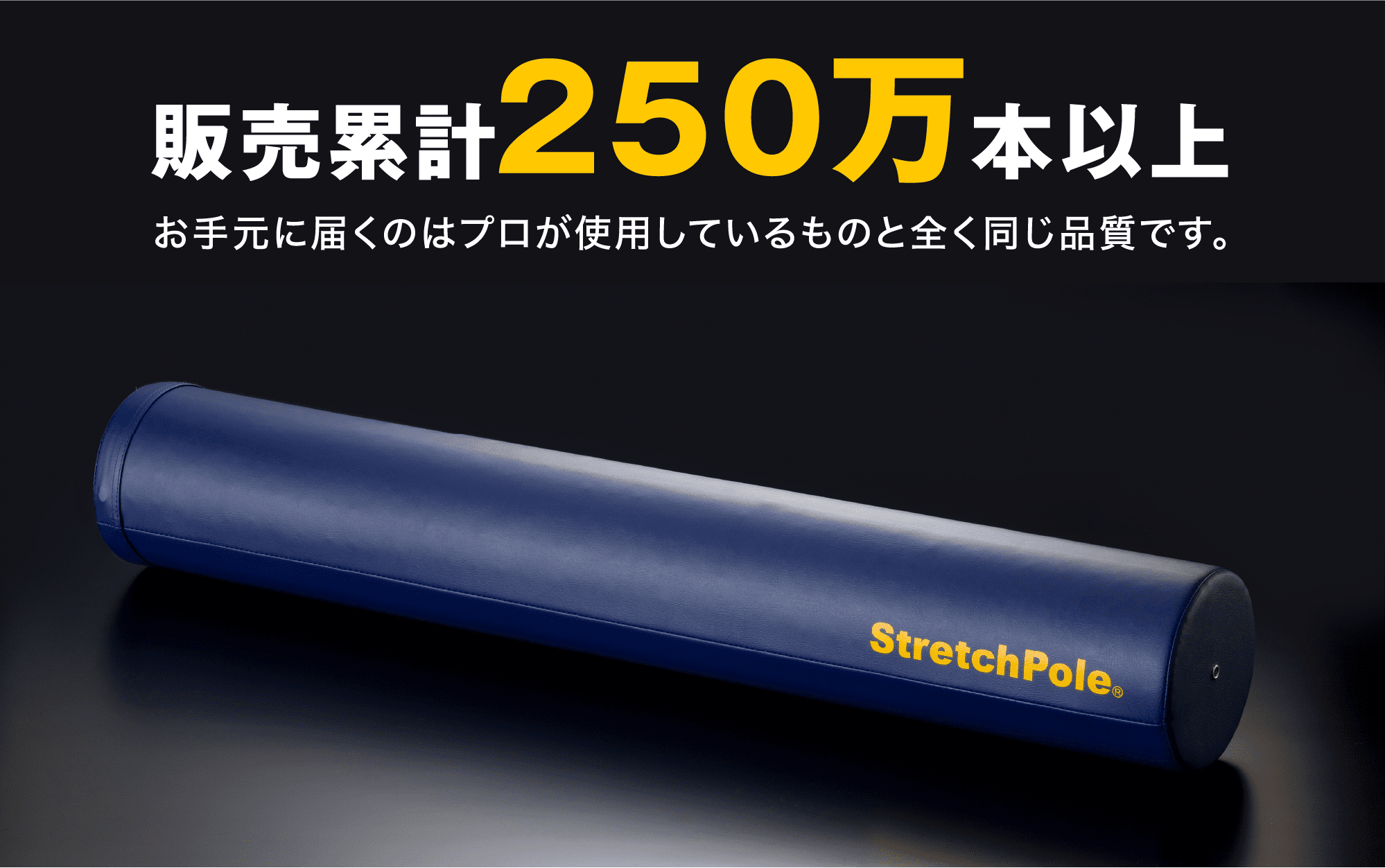 LPN SHOP / ストレッチポールEX(ネイビー)