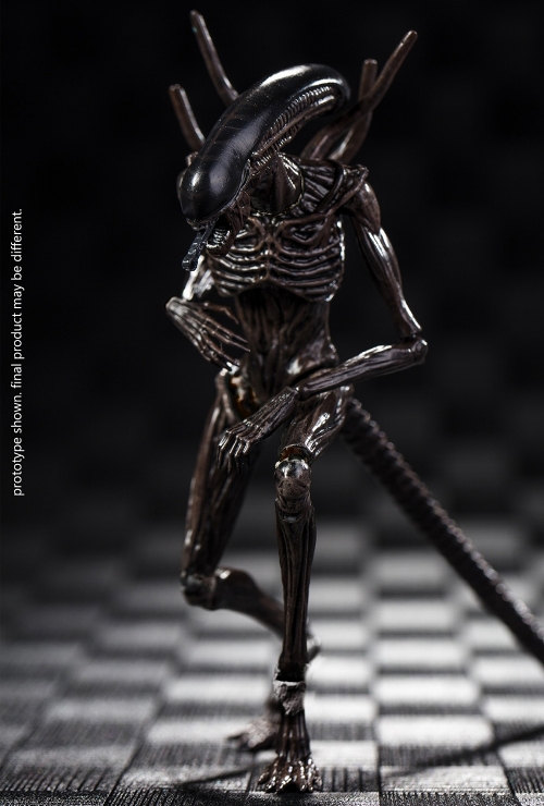 エクスクイジットミニシリーズ/ エイリアン コヴェナント: ゼノモーフ