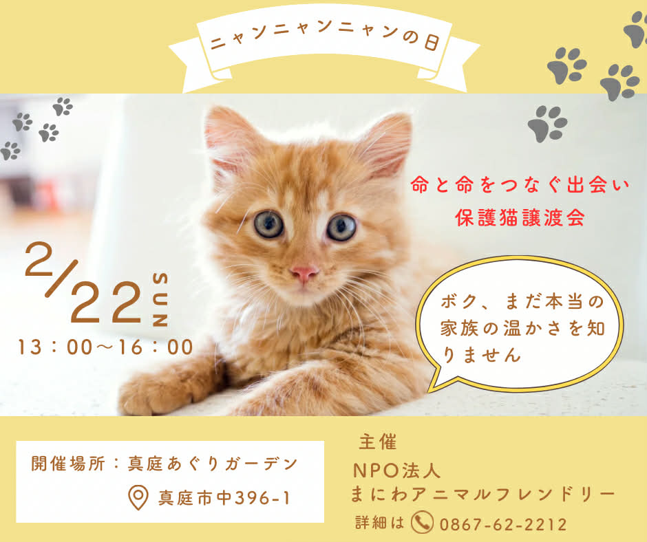ニャンニャンニャン！ - NPO法人まにわアニマルフレンドリー
