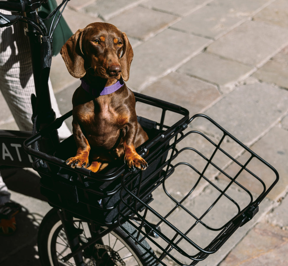 MATE. BASE BASKET – MATE.BIKE JAPAN