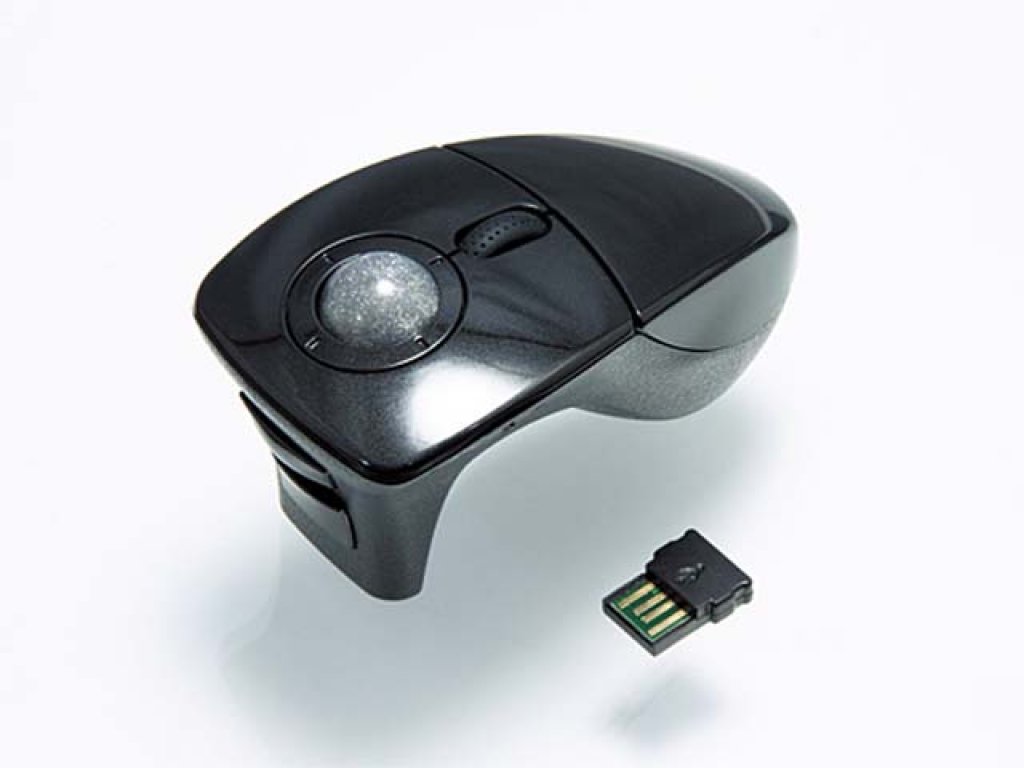 50280708.jpg?width=290