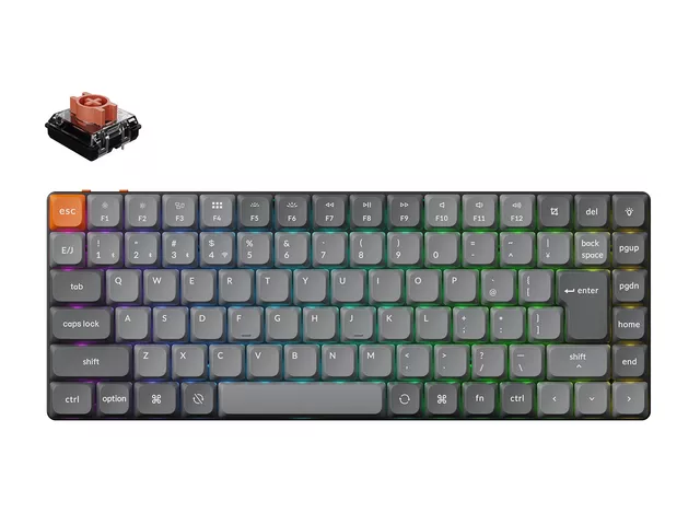 Microsoft Basic Keyboard (Q96-00002) 基本機能を追求したエントリー