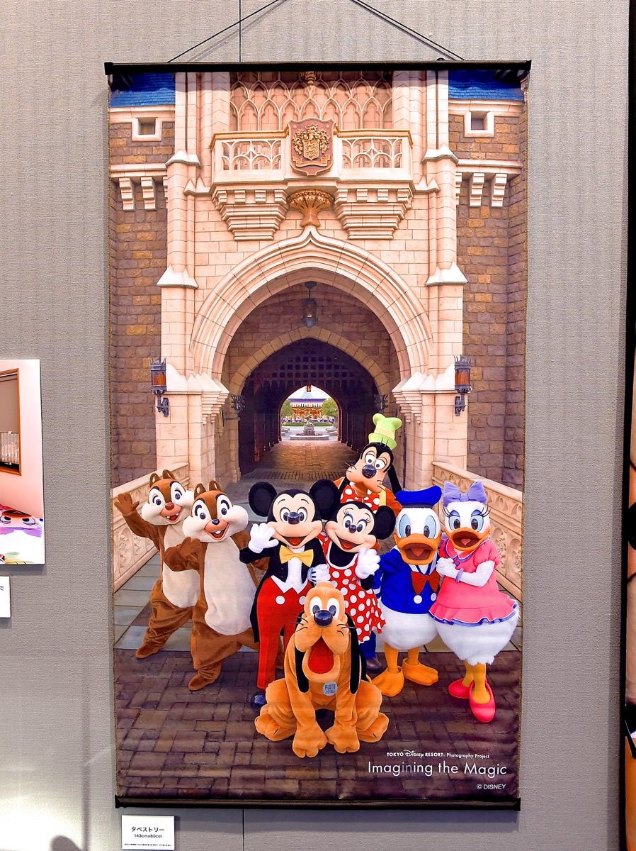 イマジニング・ザ・マジック☆ディズニーランドフォトグラファー実写