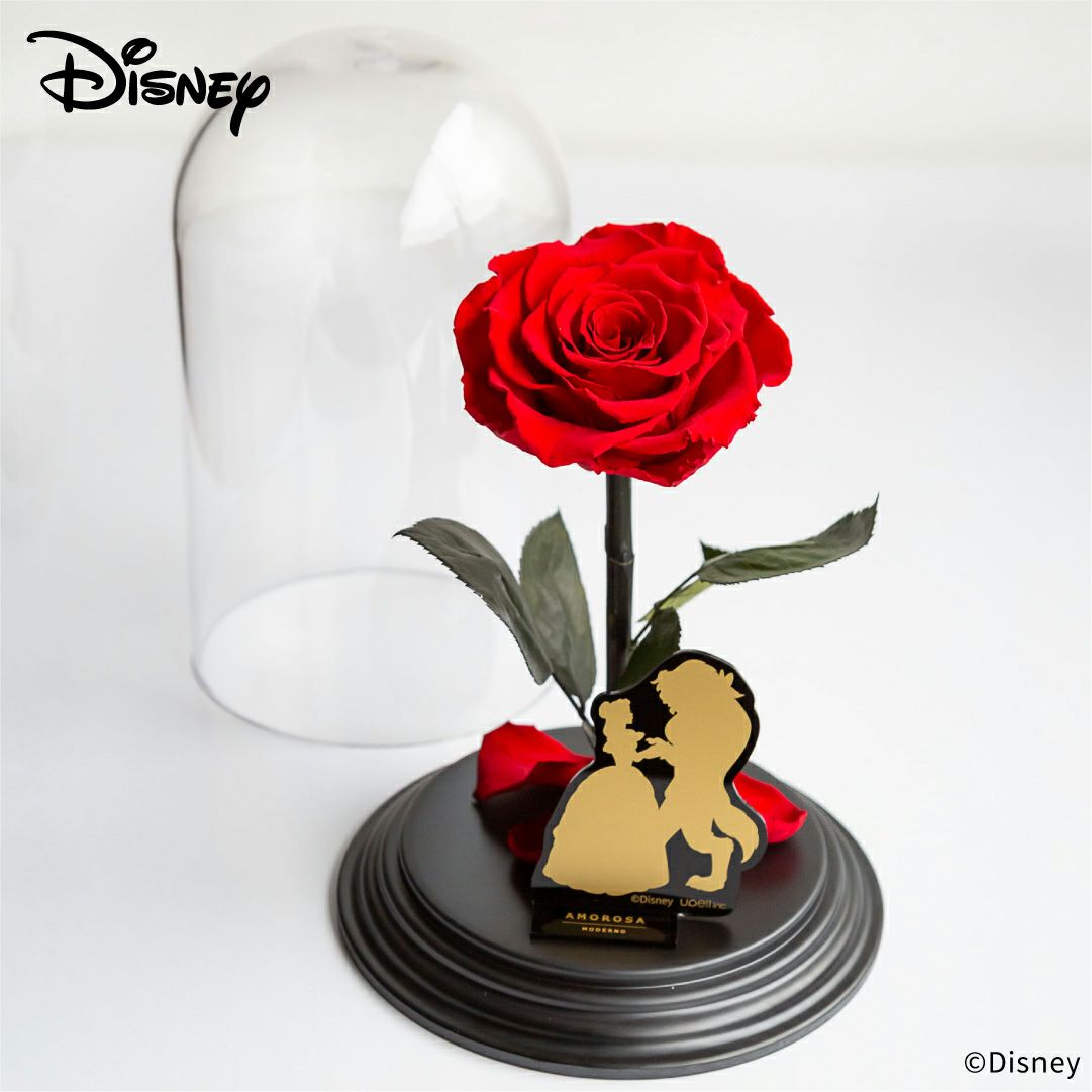 デスティニーローズディズニーエディション(美女と野獣