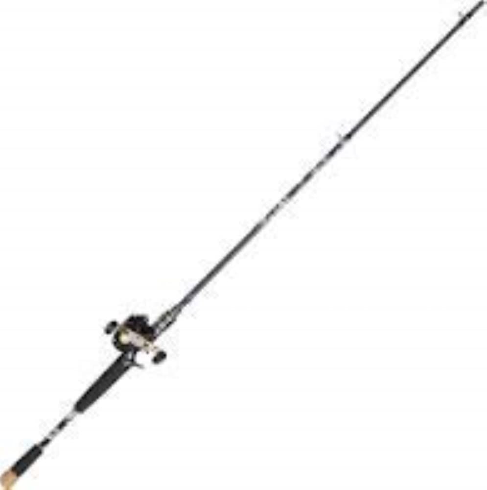 Amazon.com : Fishing Rod Procaster 80 Baitcasting Pmc (Left Hand