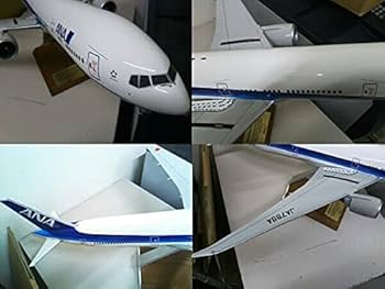Amazon.co.jp: パックミン PACMIN ANA 1/100スケール 全日空