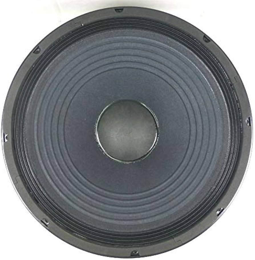 Amazon.co.jp: LASE 交換用スピーカー EAW 15インチ ドライバー