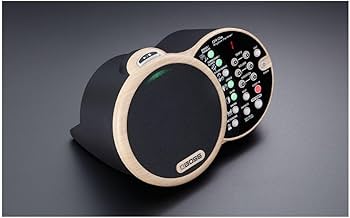 Amazon.com: BOSS DR-01S Rhythm Partner (DR-01S) : Musical Instruments