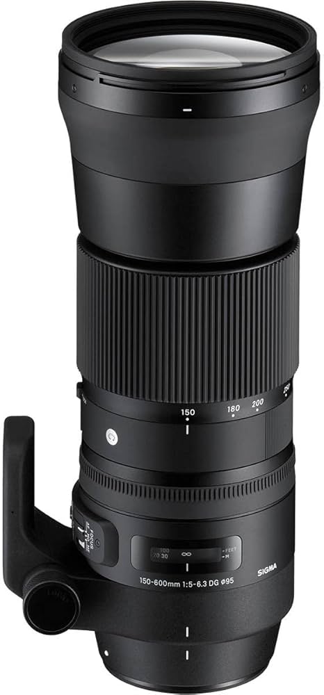 Amazon.com : Sigma 150-600mm 5-6.3 Contemporary DG OS HSM Lens for