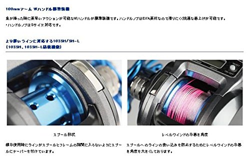 Amazon | ダイワ(Daiwa) 両軸リール カウンター付き ソルティスト ICS
