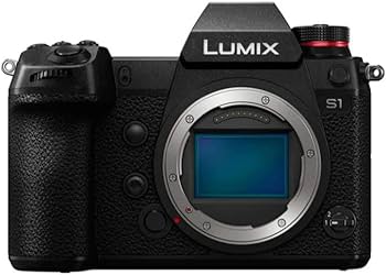 Amazon.com : Panasonic LUMIX S1 Full Frame Mirrorless Camera with