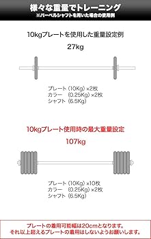 Amazon | FIELDOOR 10kg ダンベル バーベル 穴開きプレート 2枚セット