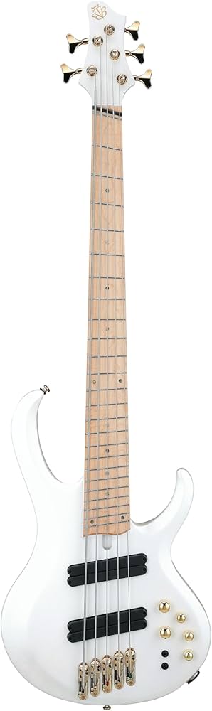 Amazon.com: Ibanez BTB Bass Workshop Multi-scale 5-string Electric