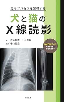 61mAkyideTL._AC_UF350,