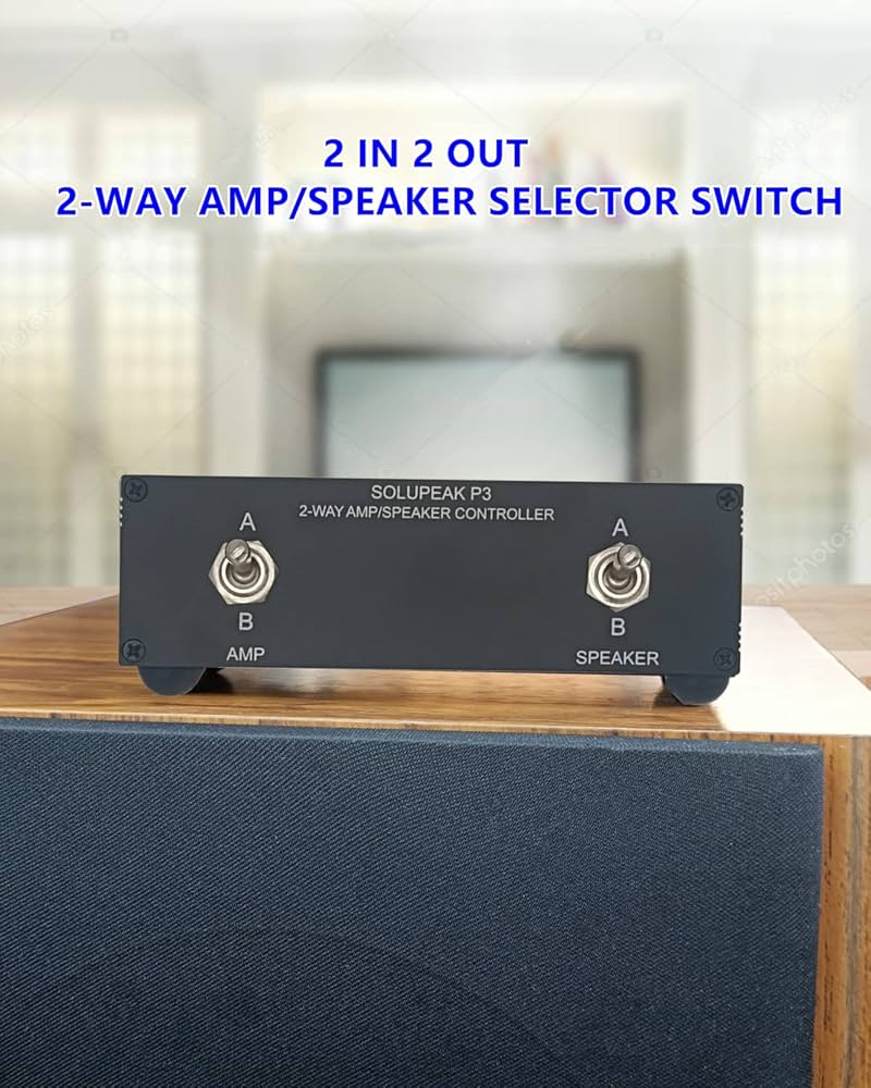 Amazon | SOLUPEAK P3 の2組のスピーカーへの2方法AMPのアンプの