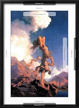 Amazon.com: AllPosters Wall Art Print Ecstasy on Black Frame by