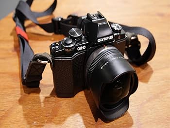 Amazon.com : Panasonic LUMIX G FISHEYE 8mm/F3.5 Lens | H-F008