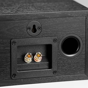 Amazon.com: DALI Spektor VOKAL Center Channel Speaker (Dark Walnut