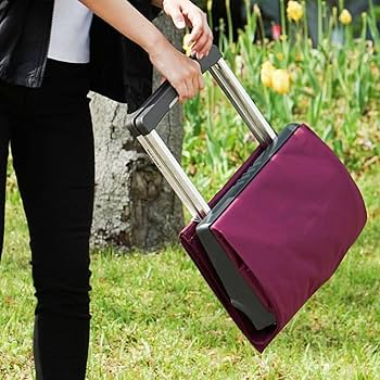 Amazon.co.jp: ロルサー(Rolser) 折りたたみショッピングカート