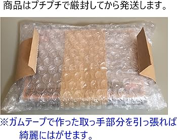 遊戯王 デッキ 三幻神 デッキ ラーの翼神竜 ガーディアンスライム