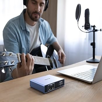Amazon.co.jp: Donner オーディオインターフェース USB Livejack Lite