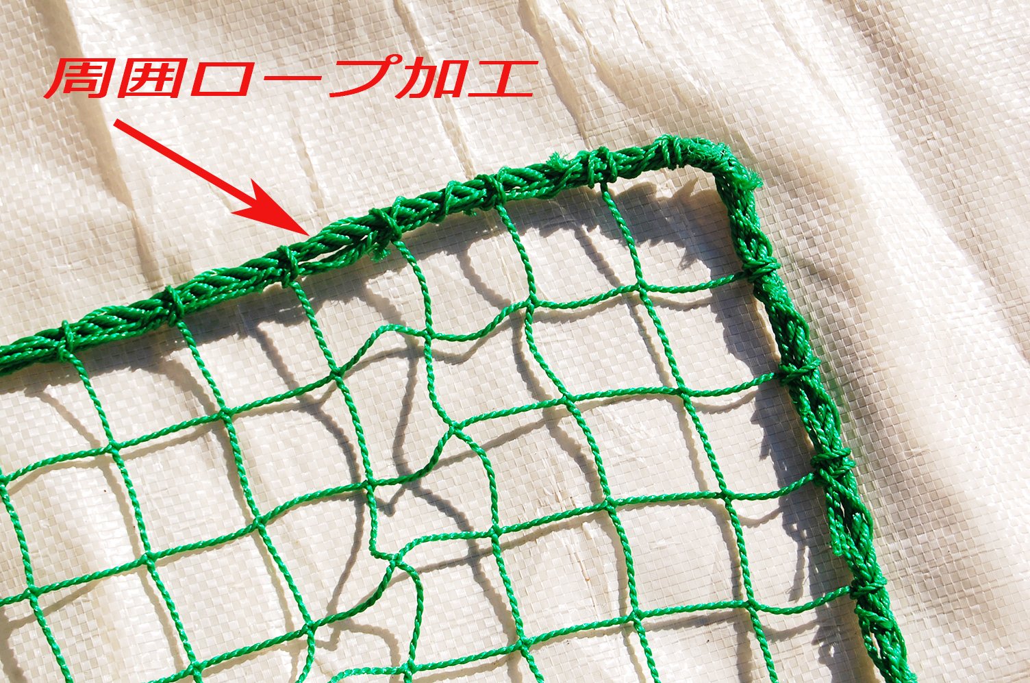 Amazon | 野球ネット軟式用(3m×6m) | スポーツネット設備 | バック