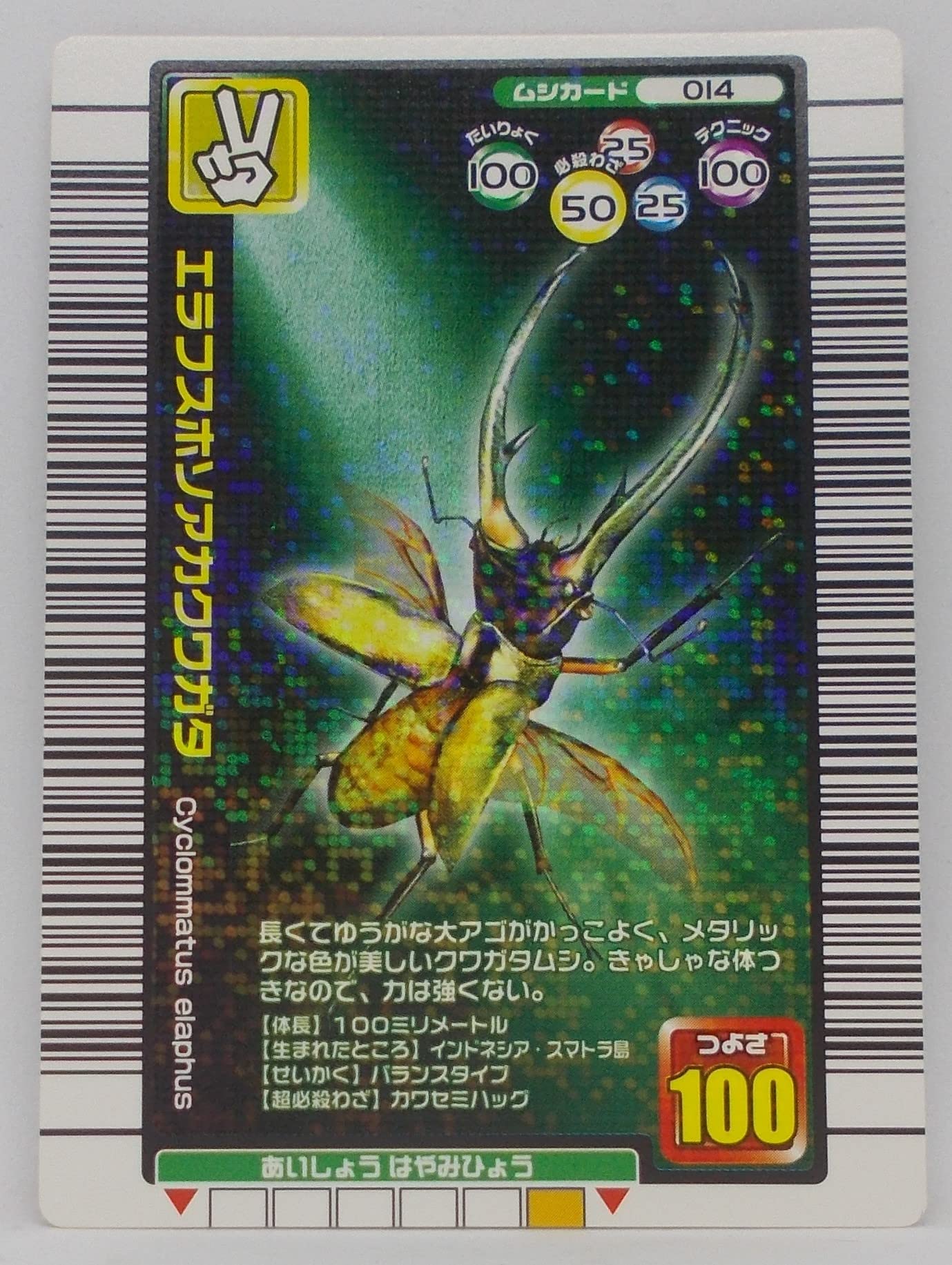 Amazon.co.jp: ムシキング 甲虫王者ムシキング ムシカード エラフス
