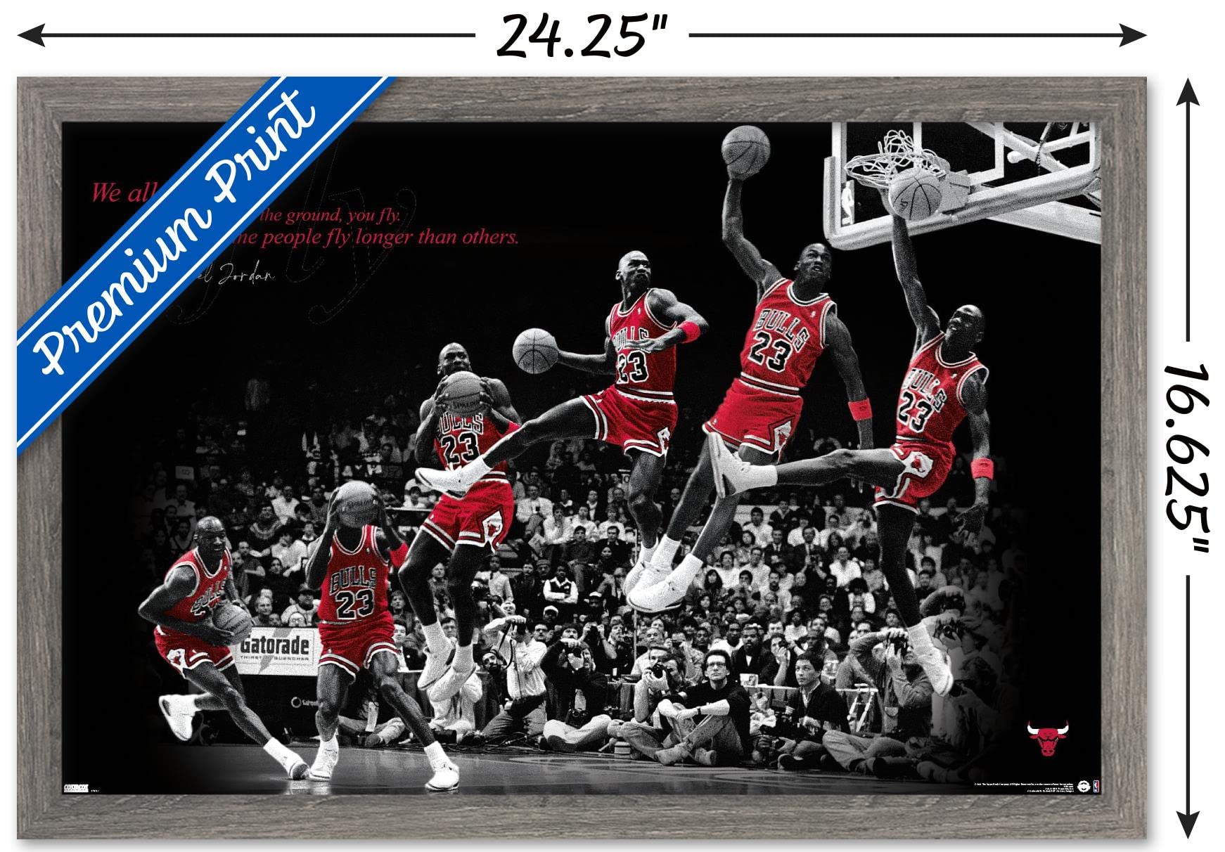 Amazon.com: Trends International Michael Jordan - Fly Wall Poster