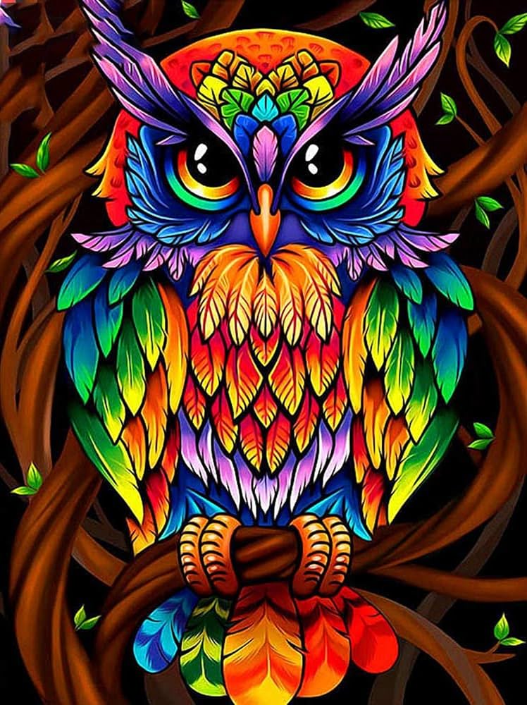 Amazon | フクロウ動物カラフルな5Dフルドリルダイヤモンド絵画キット