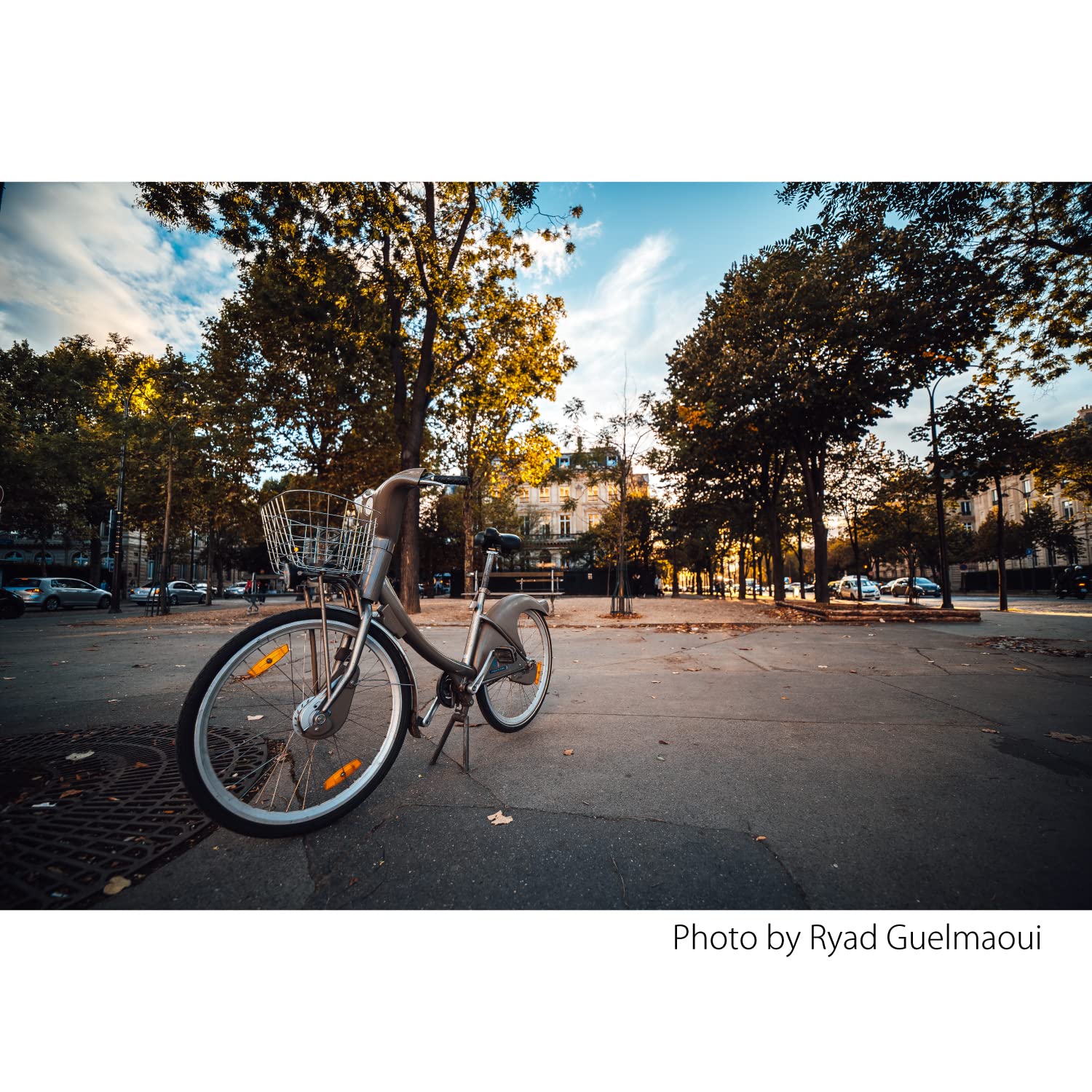 Amazon | SAMYANG 単焦点広角レンズ XP 14mm F2.4 マニュアル