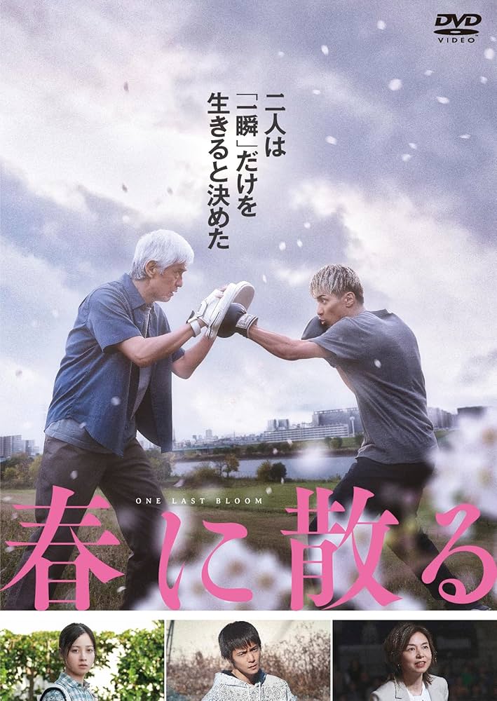 Amazon.co.jp: 春に散る DVDスタンダード・エディション : 佐藤浩市