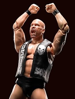 Amazon.co.jp: TAMASHII NATIONS S.H.フィギュアーツ WWE ストーン