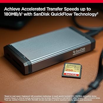 ③-W871-SanDisk SATA 256GB SSD 2.5 4点 Amazon | SanDisk サン