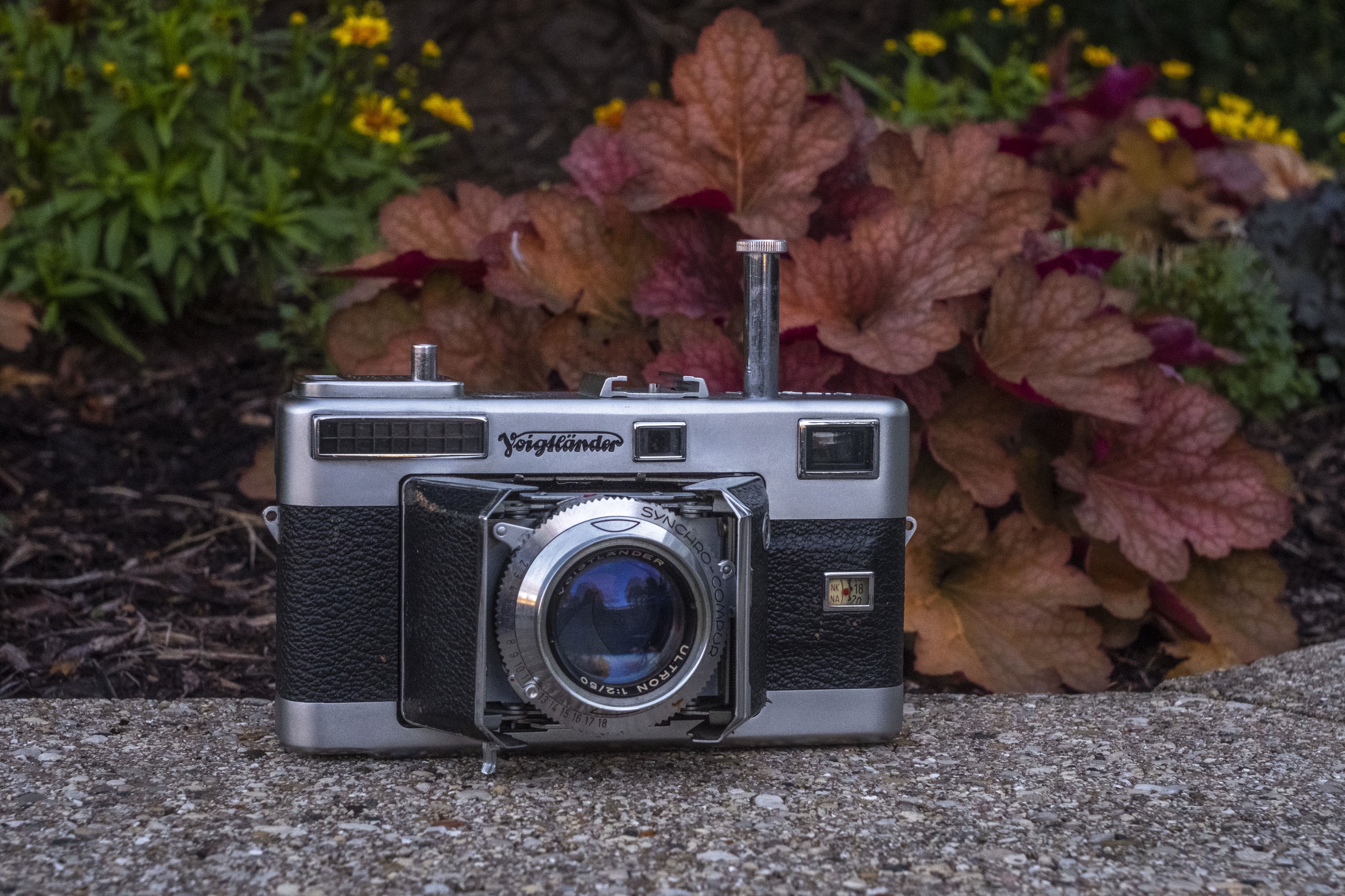 Voigtländer Vitessa L (1954) – mike eckman dot com