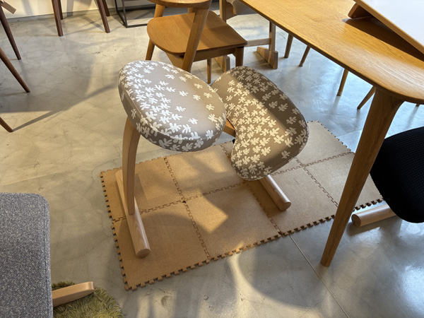 バランス・イージー正規販売店【三芳家具】