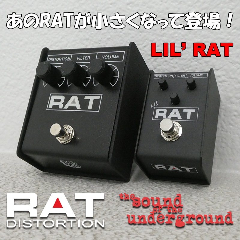 ProCo】あのRATが小さくなって登場！LIL' RATいよいよ発売