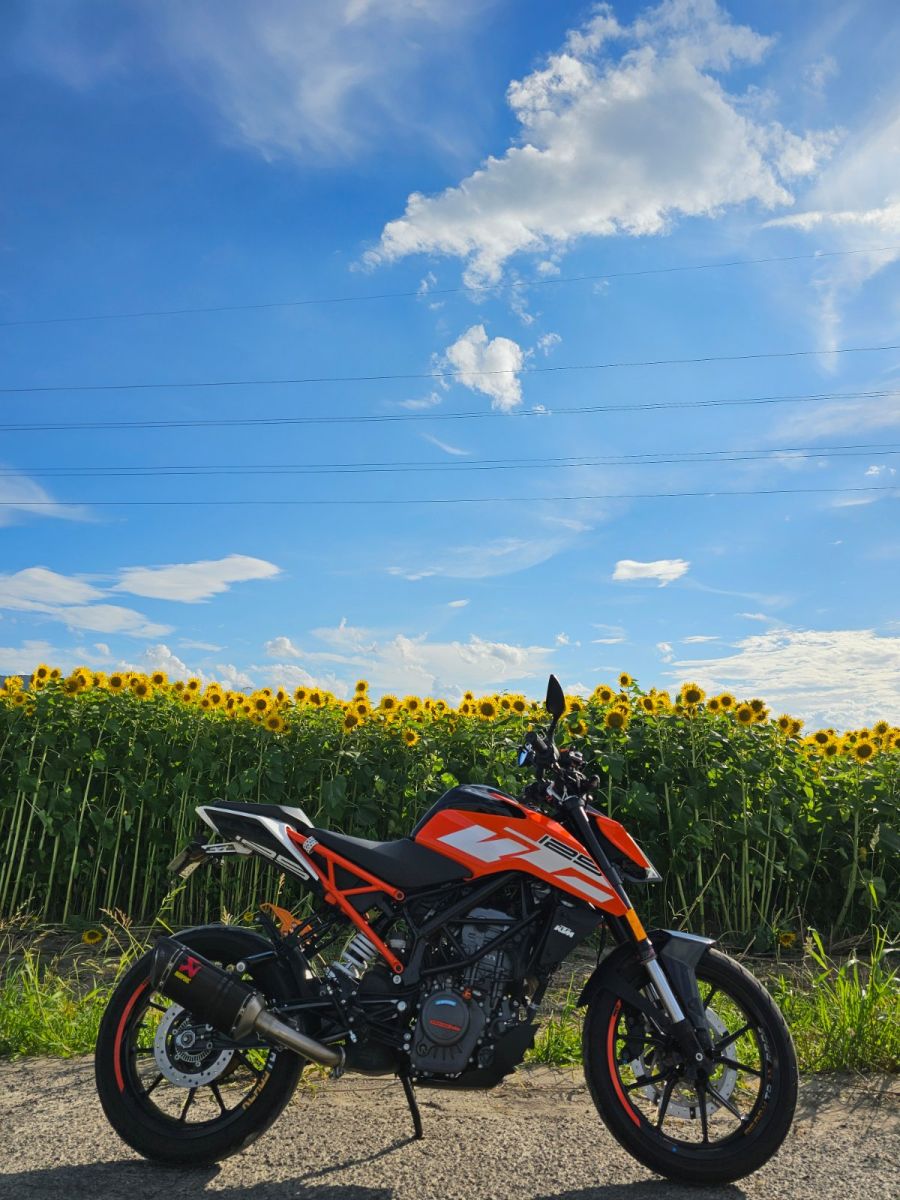投稿詳細｜MOTOCLE