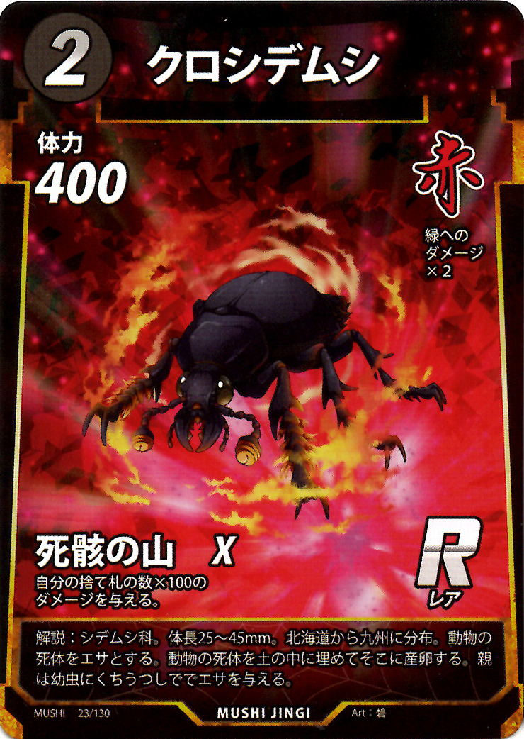 蟲神器】クロシデムシ(R)の詳細【昆虫カード図鑑】