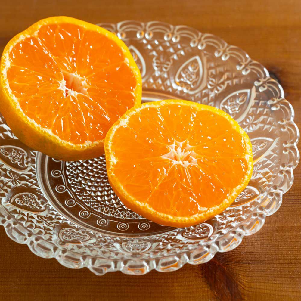 カネイ農園さんの三ヶ日みかん ゆら早生の通販｜はちみつ専門店 長坂養蜂場